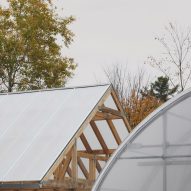 Timber structure and greenhouse