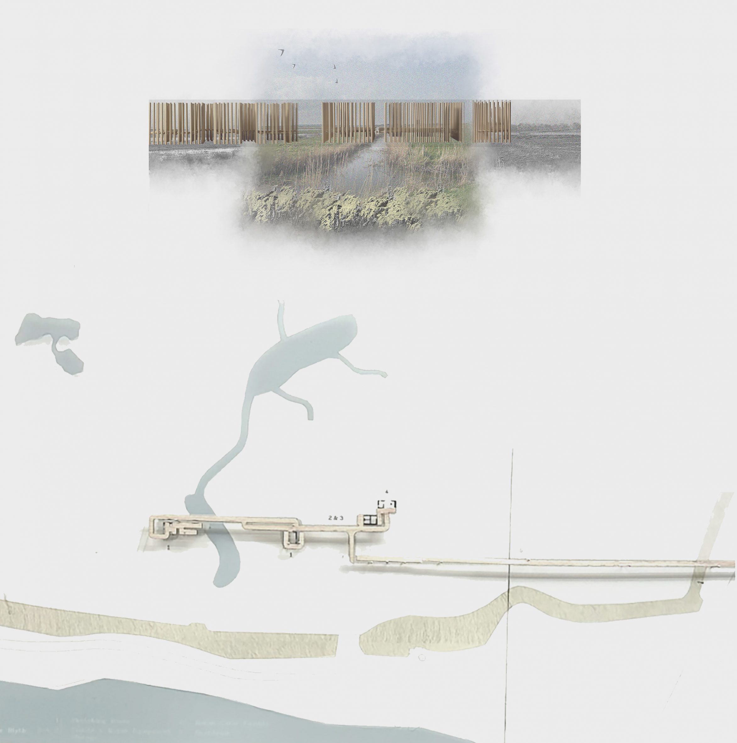 Visualisations showing a coastal project