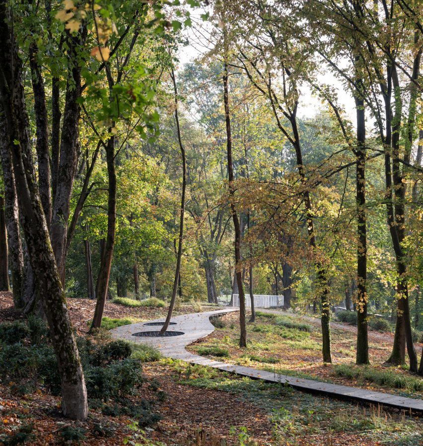 Walkway winding through trees