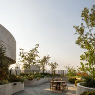 Curved garden on roof