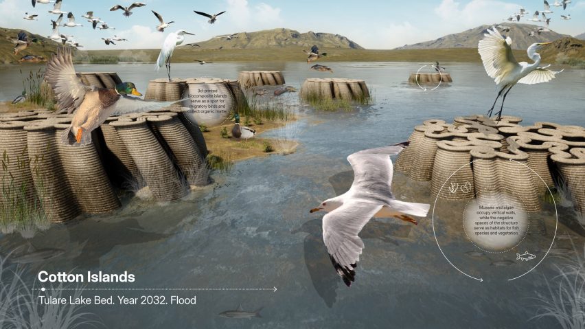 Visualisation of a river area with birds