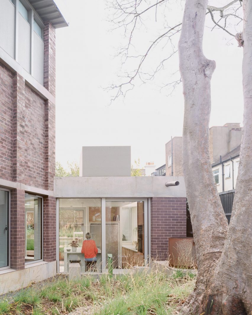 A back garden and a large tree 