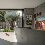 Kallos Turin nestles monolithic Athens residence in oasis-like garden