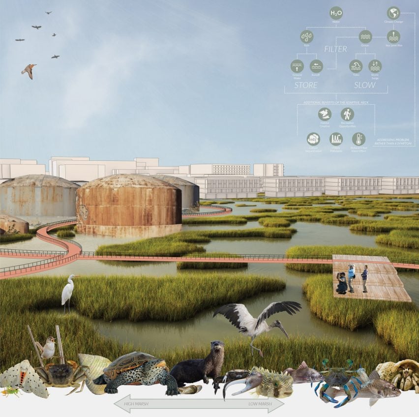 A visualisation of a redevelopment of a peninsula in Charleston, USA, showing a body of water with greenery throughout and varying sealife and people around it.