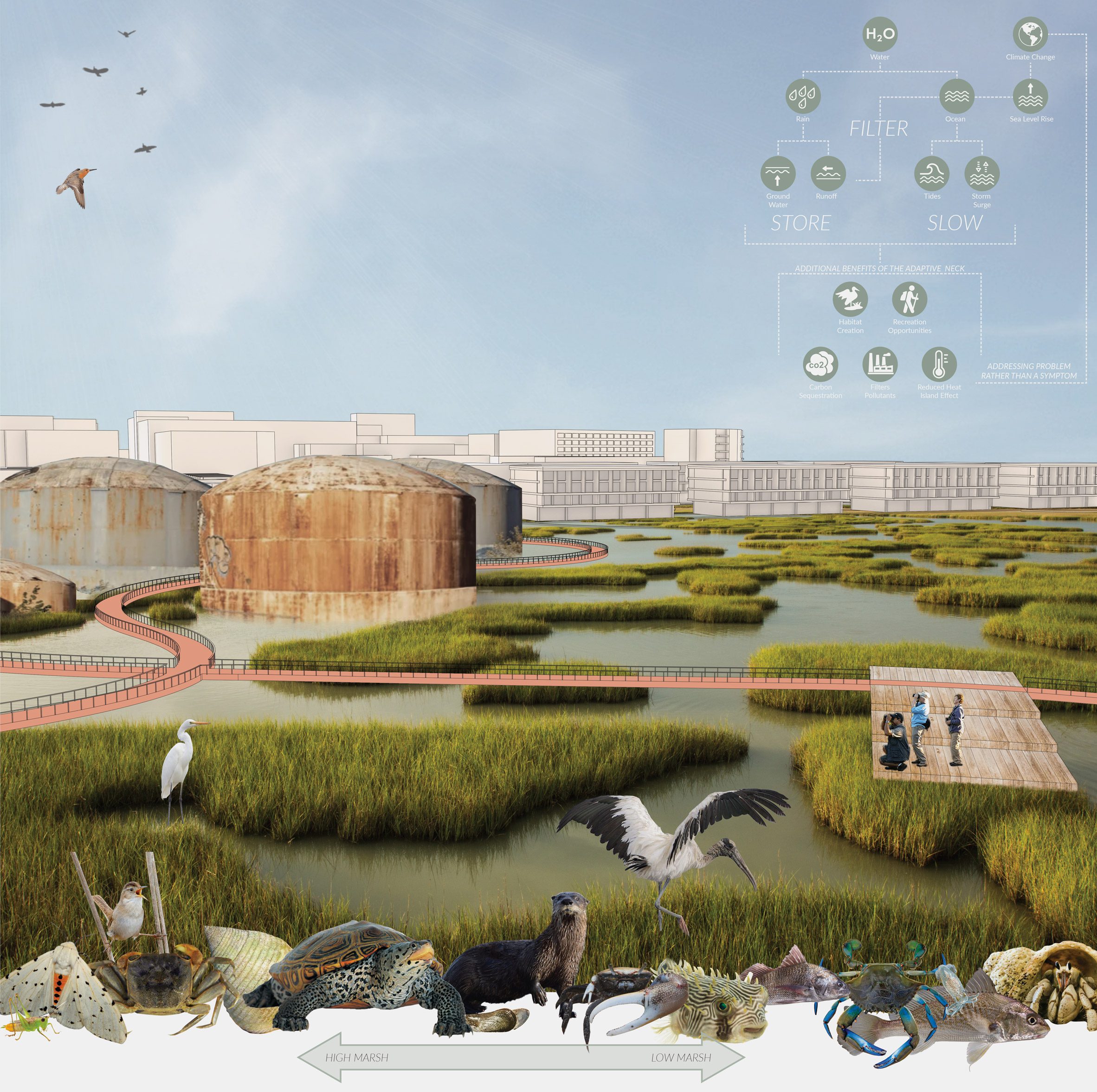 A visualisation of a redevelopment of a peninsula in Charleston, USA, showing a body of water with greenery throughout and varying sealife and people around it.