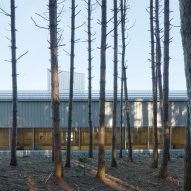 Trees in front of school building