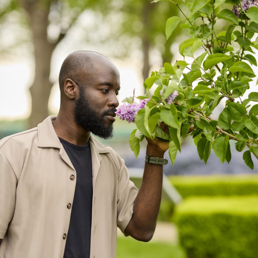 a photograph of a person holding a branch of a tree