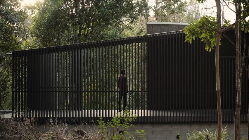 Tallowwood Cabin by Fouché Architects