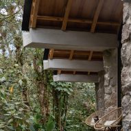 Terraces in jungle