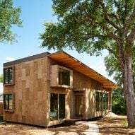 Moontower Design Build creates "plant-based" cabin in Austin