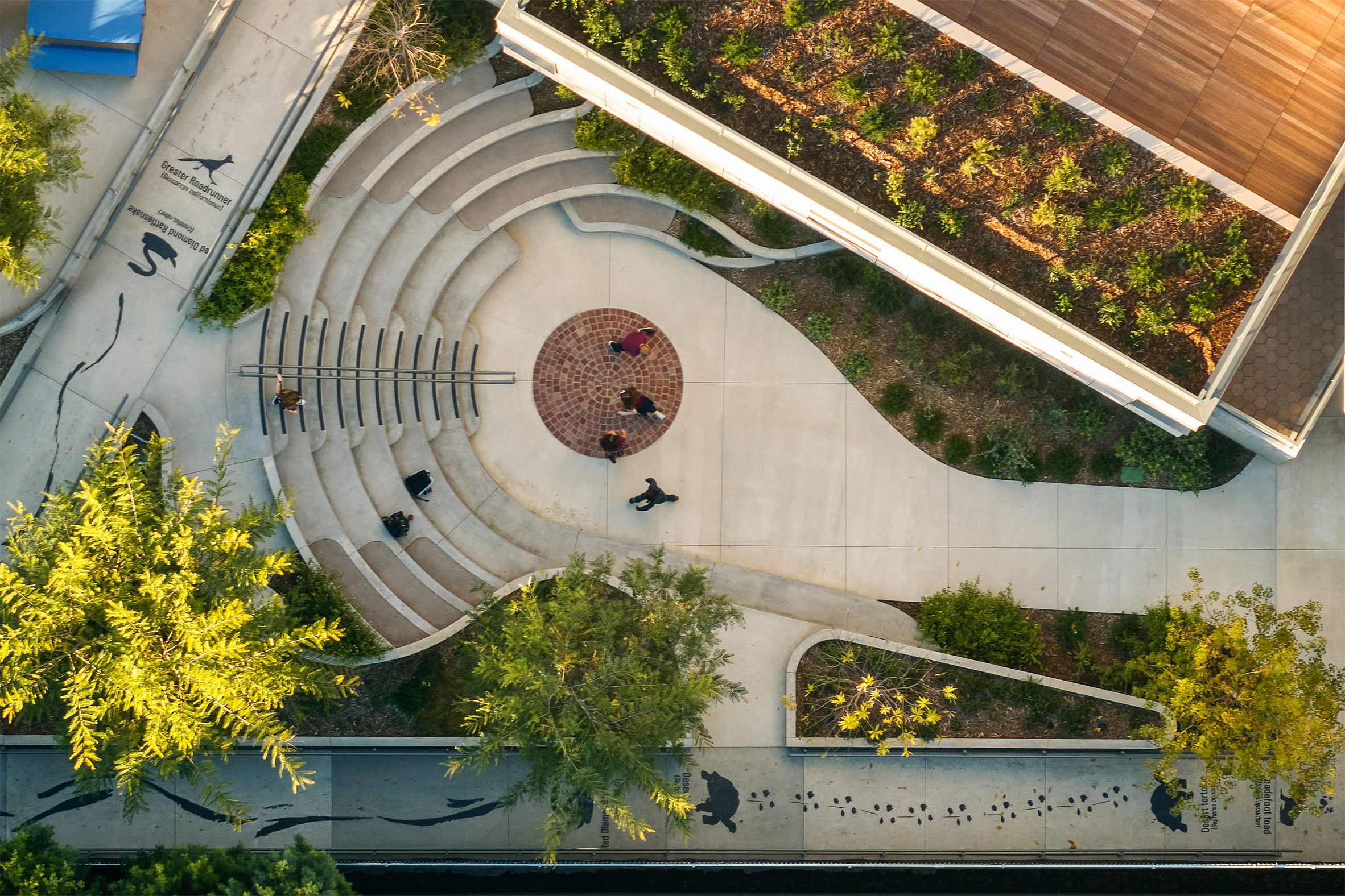 Birdseye view of Westmark Lower School rounded courtyard by NBBJ