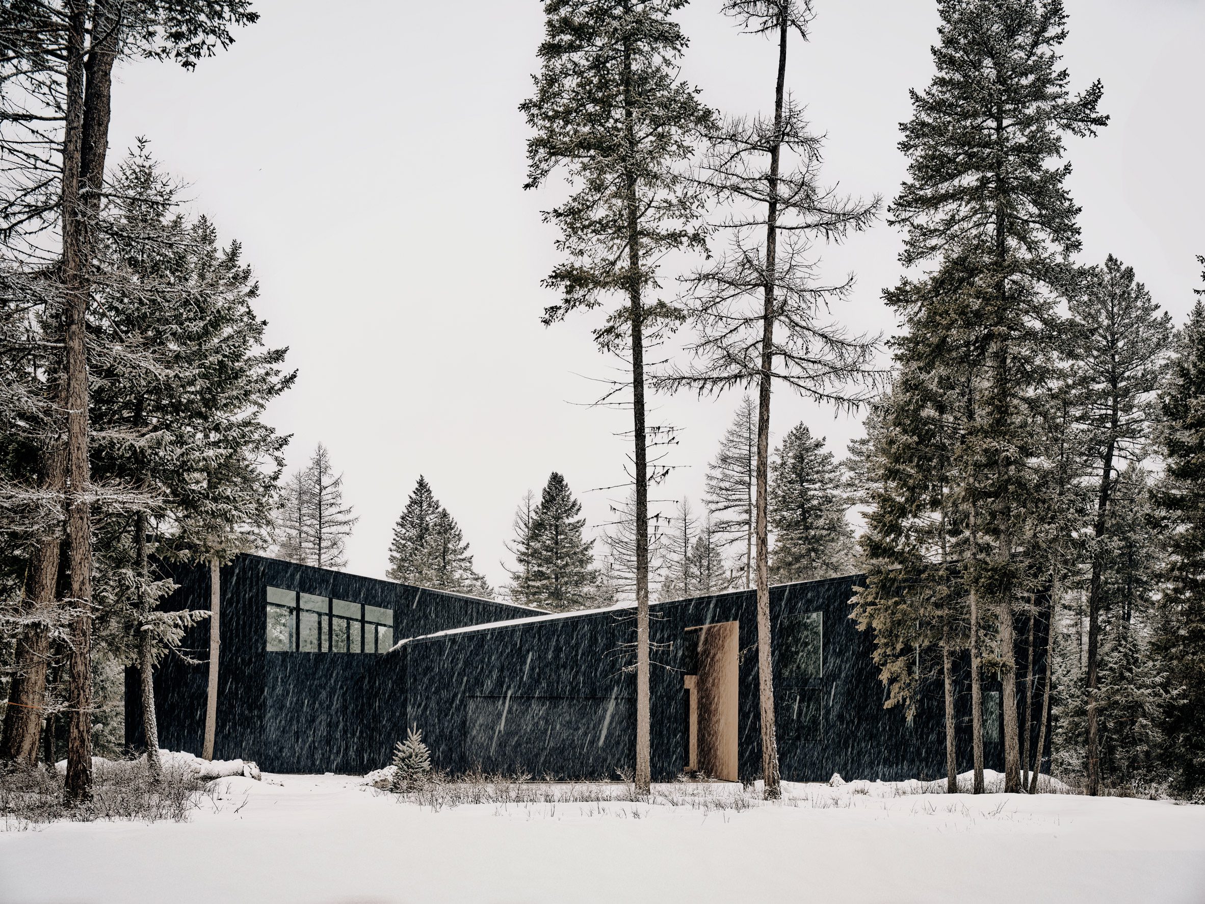 Black home seen through the trees with snowfall