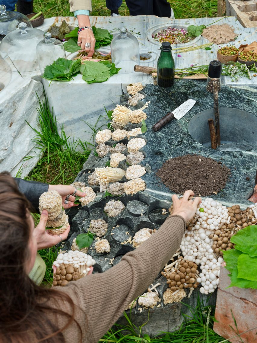 Transspecies Kitchen by Andrés Jaque and Office for Political Innovation