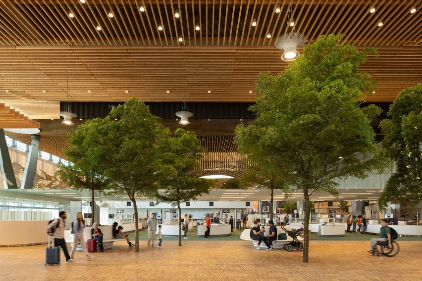 Trees under wooden roof in airport