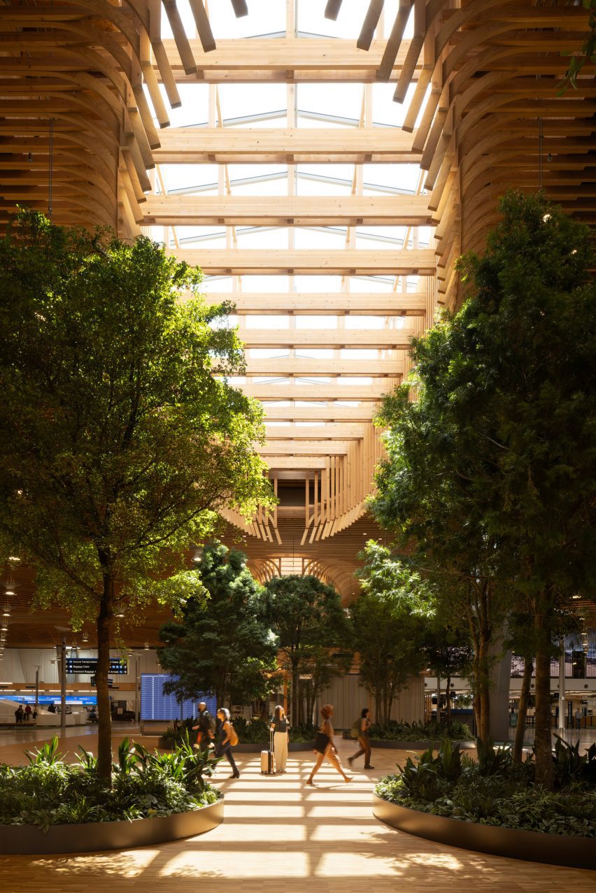 Trees under skylight in Portland airport