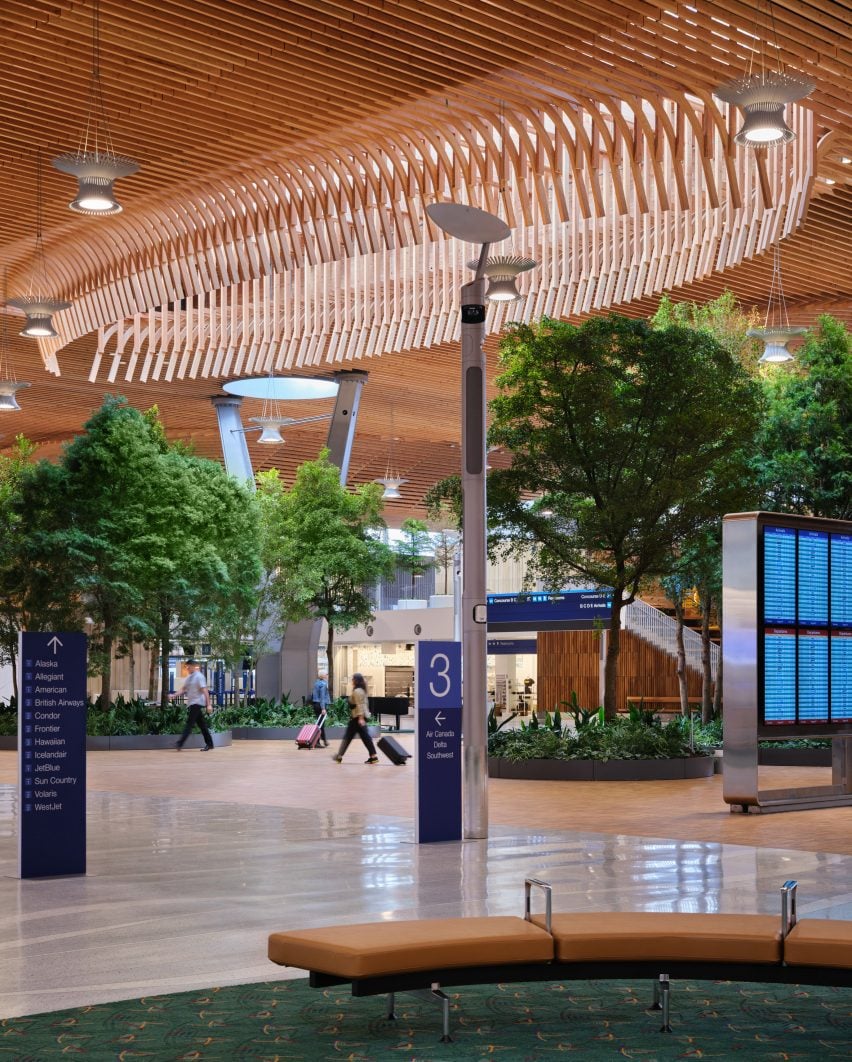 Trees and skylights in Portland airport