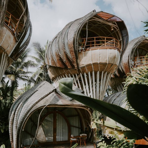 Tropical Architecture Design A Journey Into Minimalist Tropical House