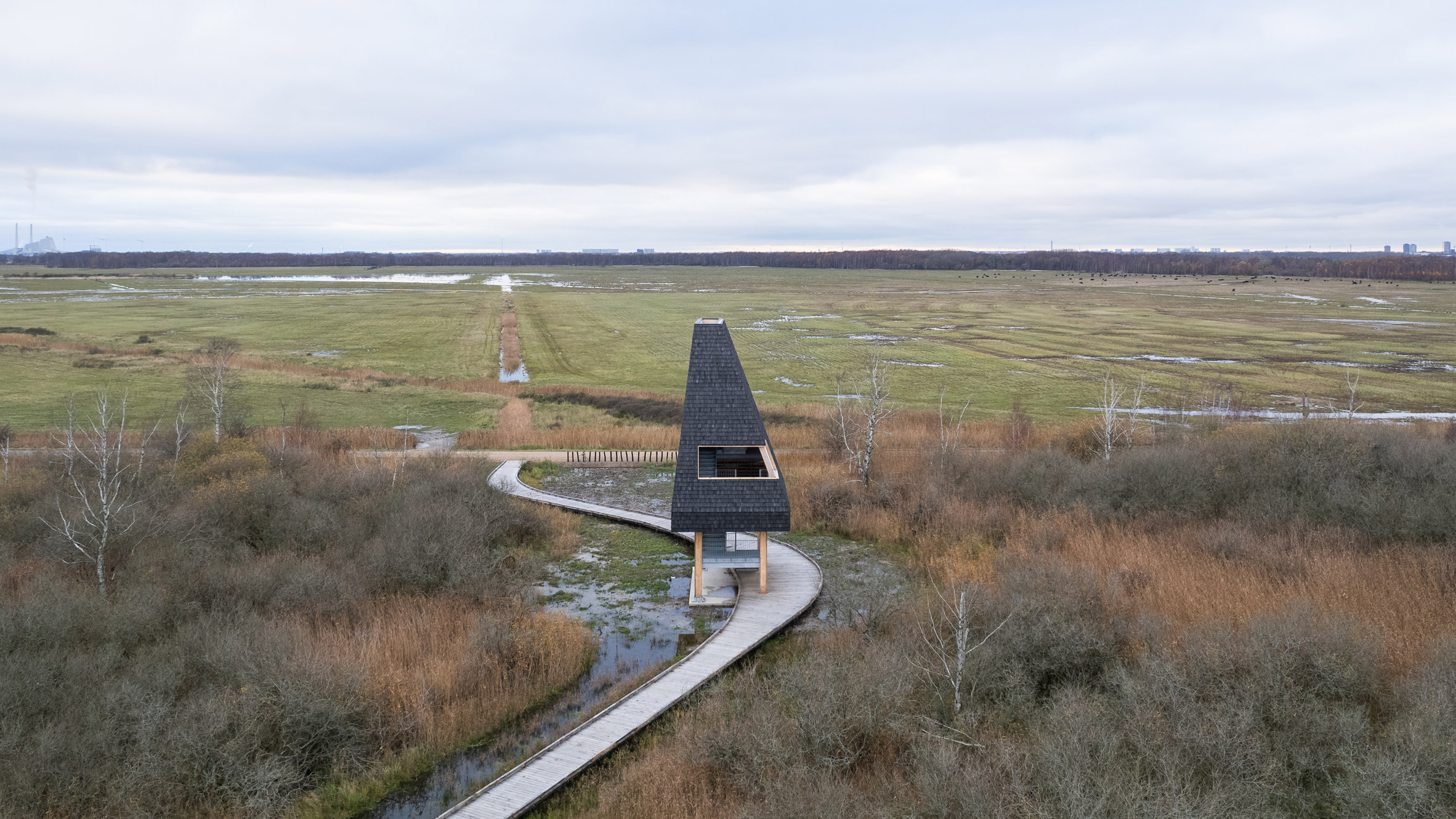 Boardwalk within Amager Nature Park