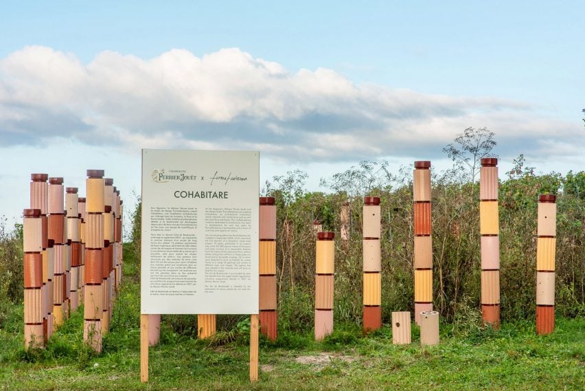 Vineyard installation by Formafantasma