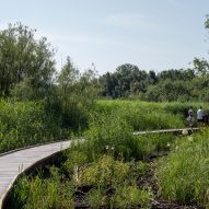 Stork Meadow by CF Møller