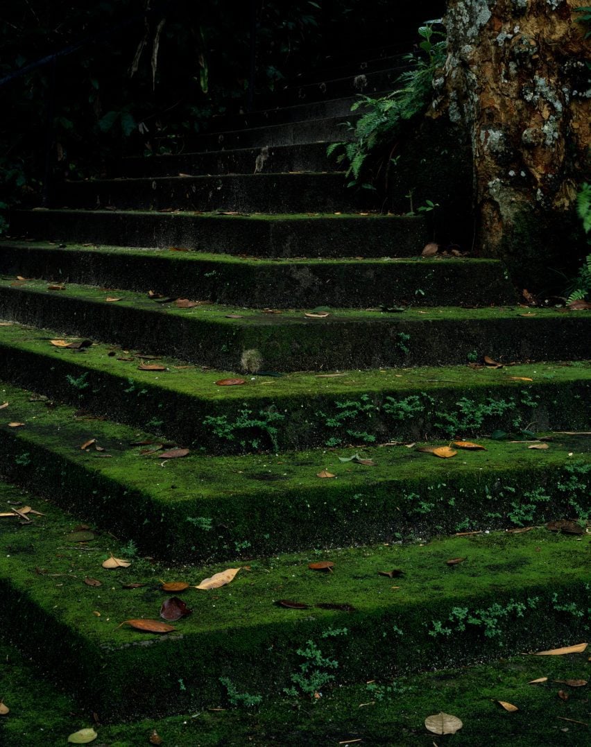 Green stone stairway