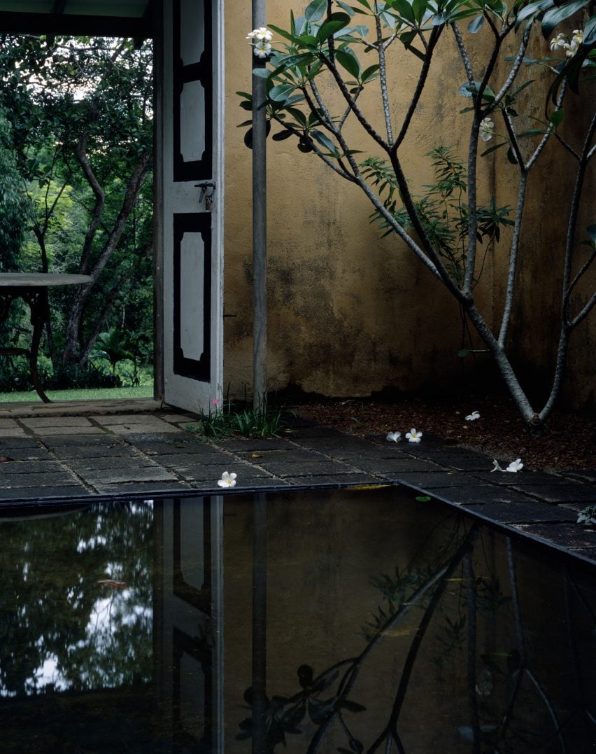 Pond and courtyard with tree