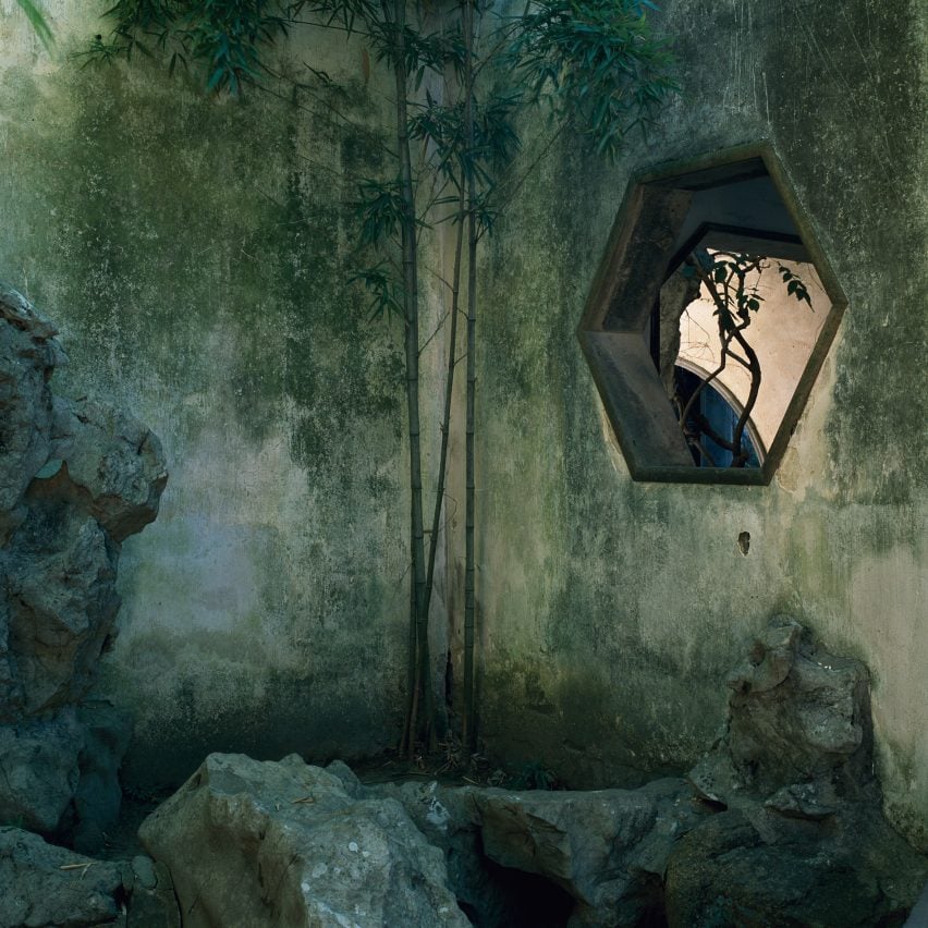 Walled garden with window and tree beyond