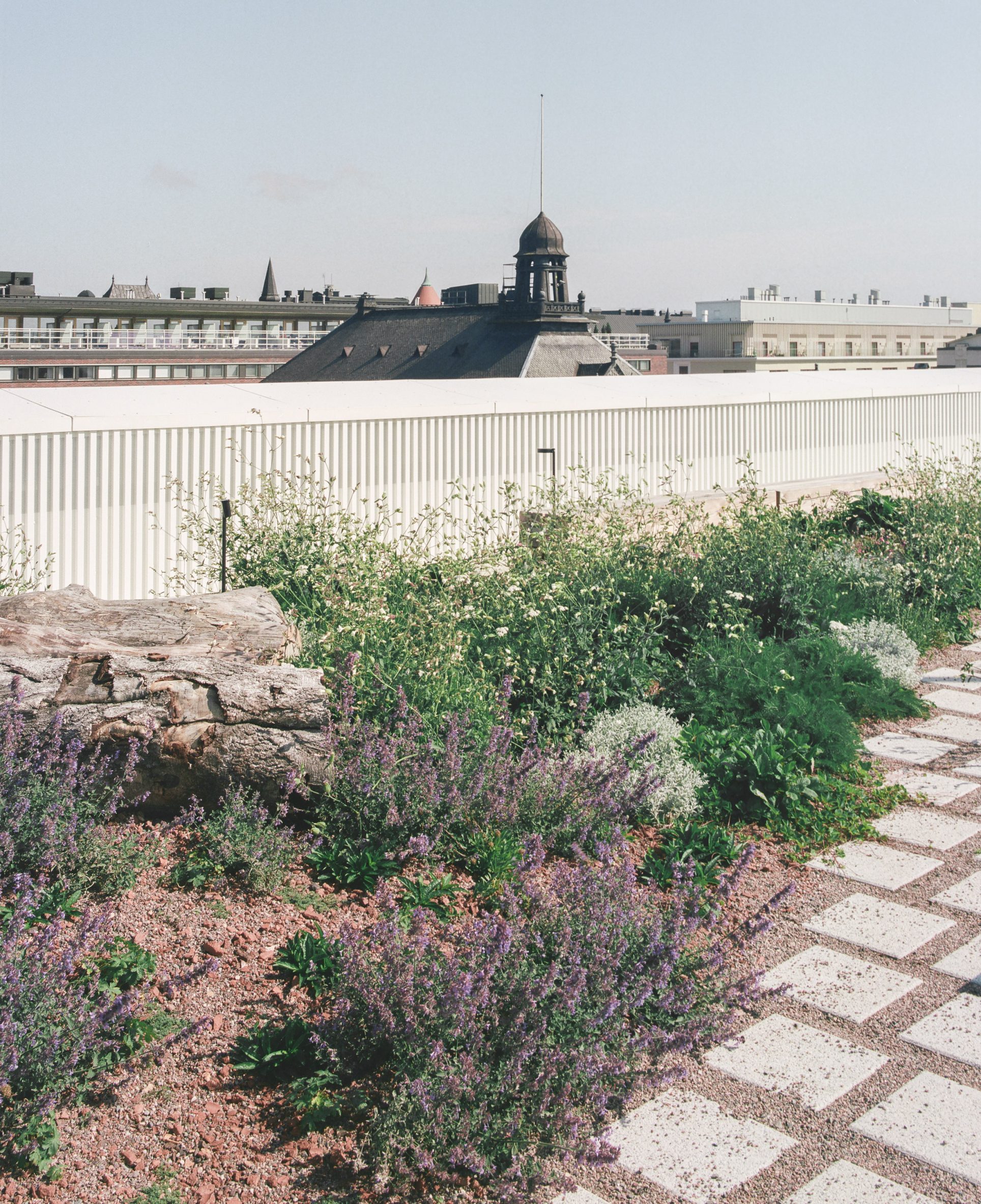 Green rooftop terrace