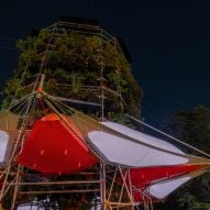 Canopies surrounding column of plants