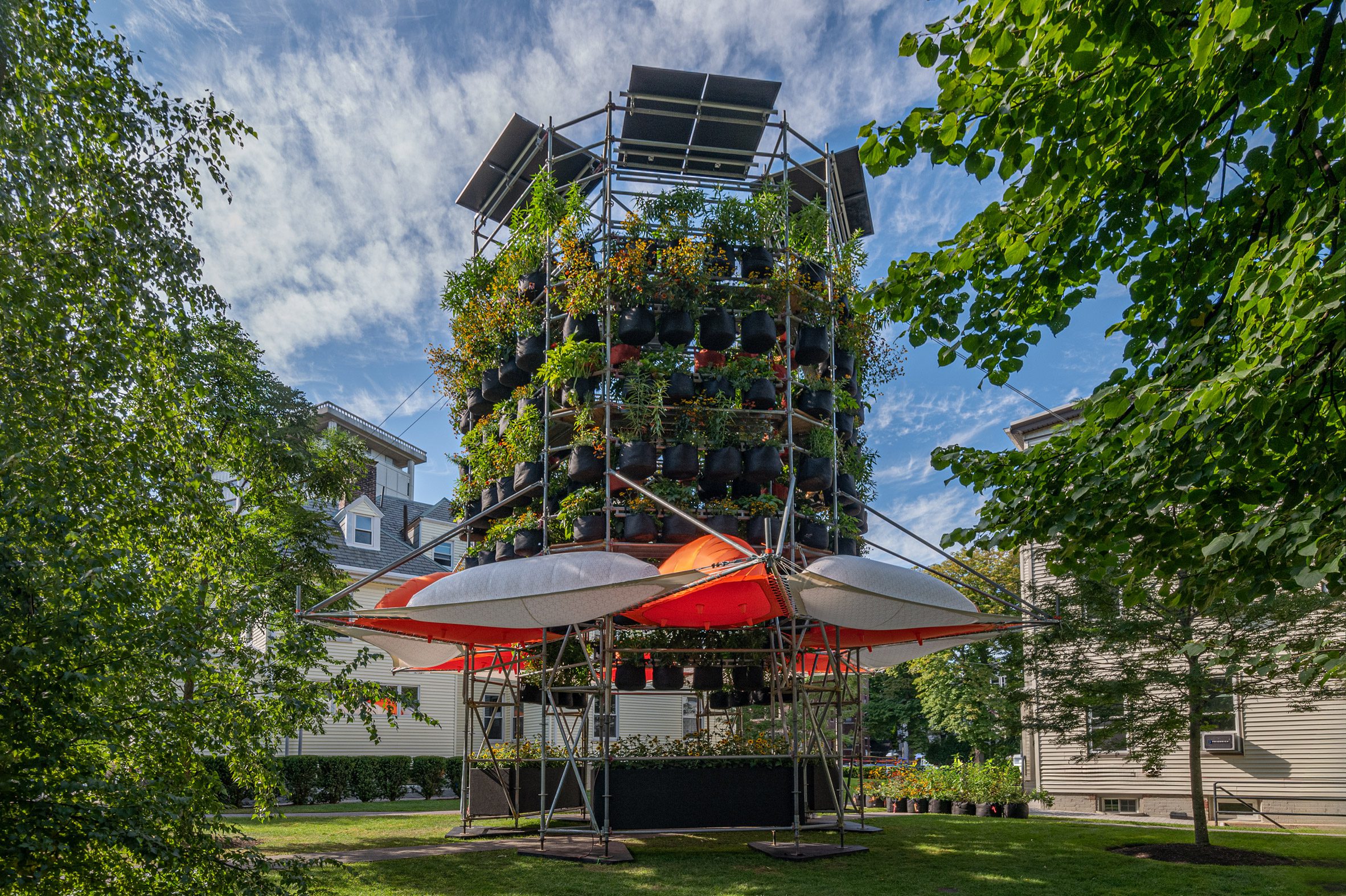 Installation with stacks of plants and tent awnings