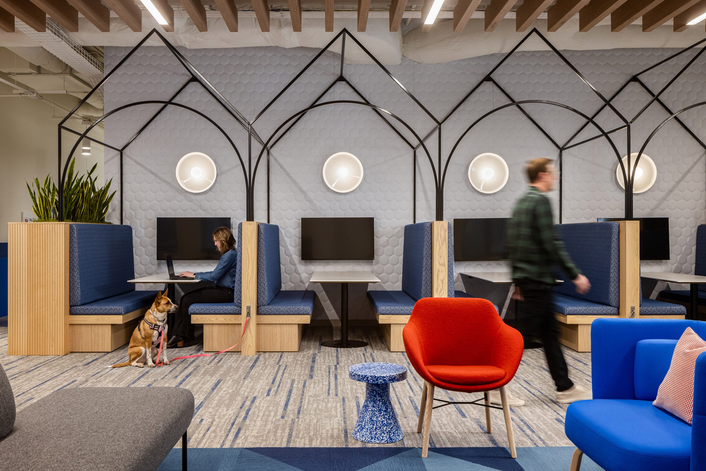 Pet-friendly office interior