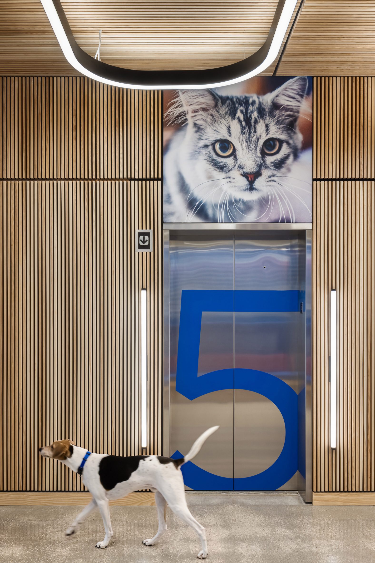 Pet-friendly office and Shaw Contract Design Awards winner