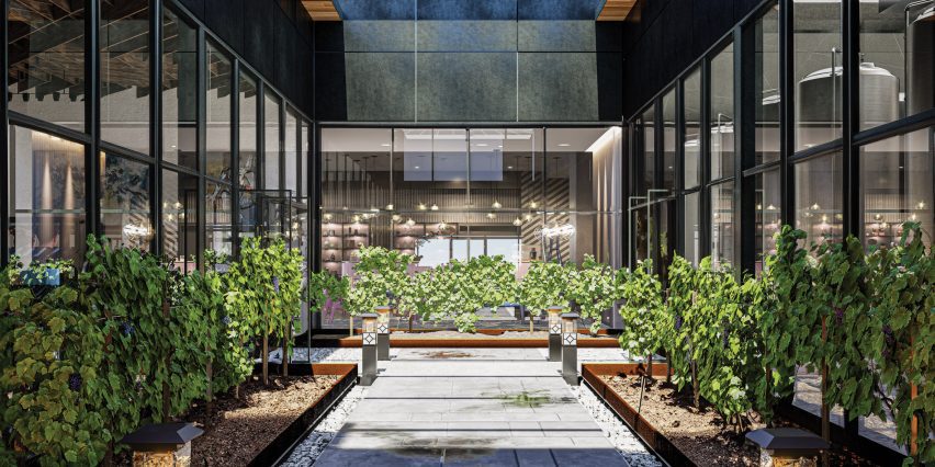 A visualisation of a winery, with glass windows and walls and a path surrounded by green plants.