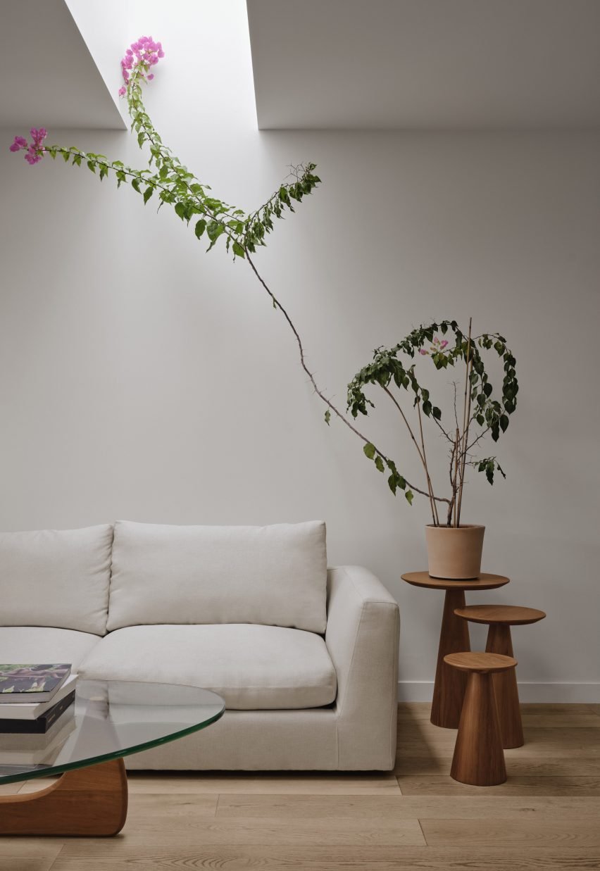 Sofa and plant below a skylight