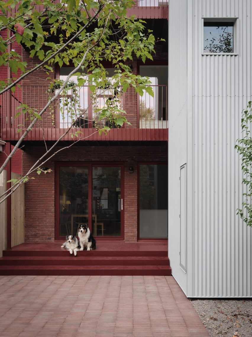 Two dogs sat on the steps in front of a red-brick building