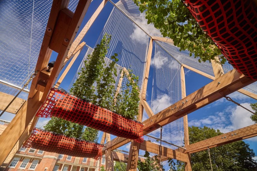 View of climbing plants at installation by Diez Office, OMC°C and AHEC