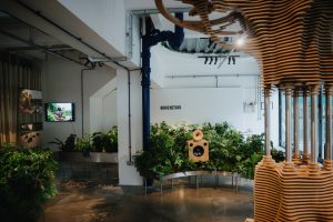 Photo of an installation made of wooden objects and plants at Birkenstock Studio London