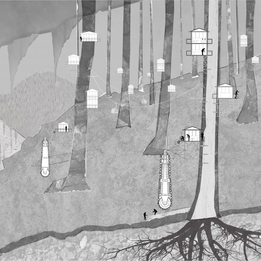 an image of a forest in tones of black and white