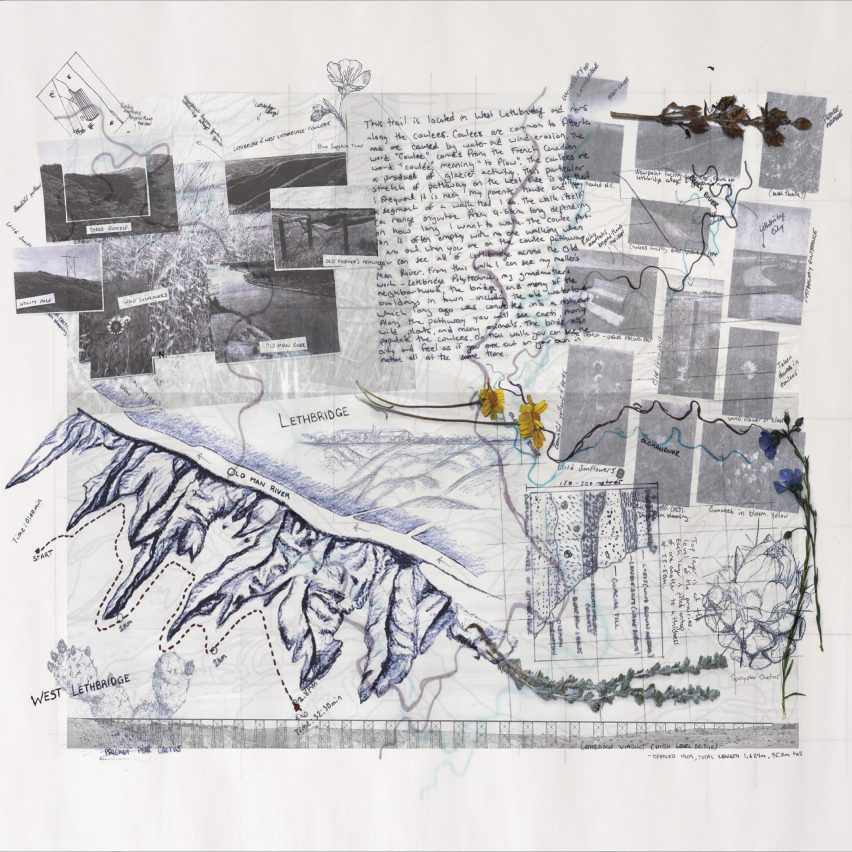 an collage in tones of black and white