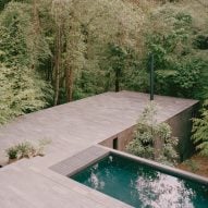 PPAA arranges terraces around house in a Mexican forest