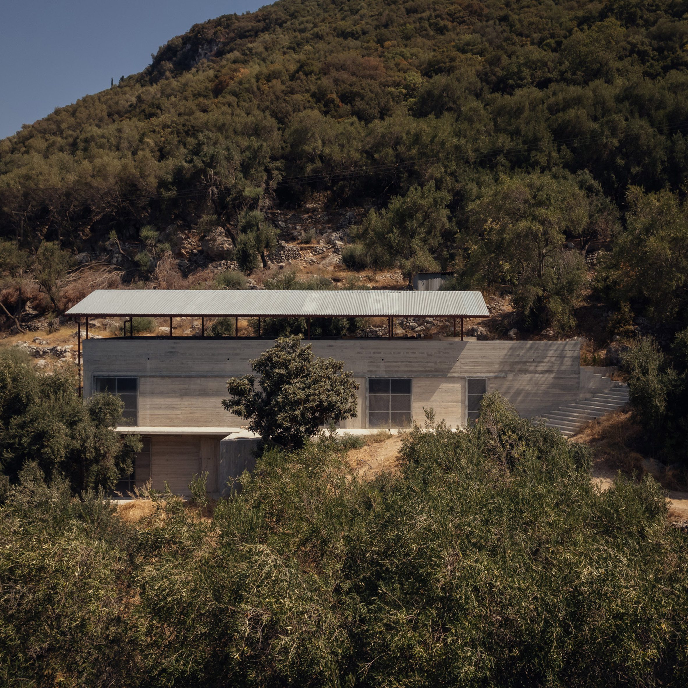 House in an Olive Grove by Piers Taylor