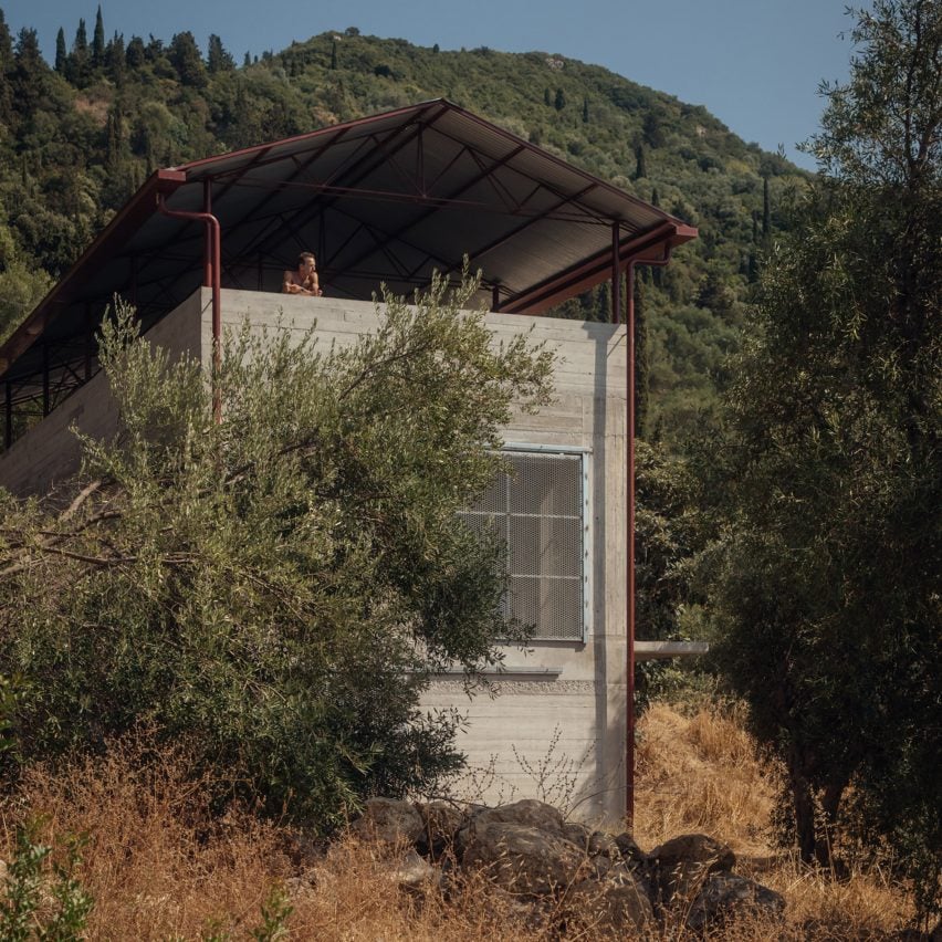 House in an Olive Grove by Piers Taylor