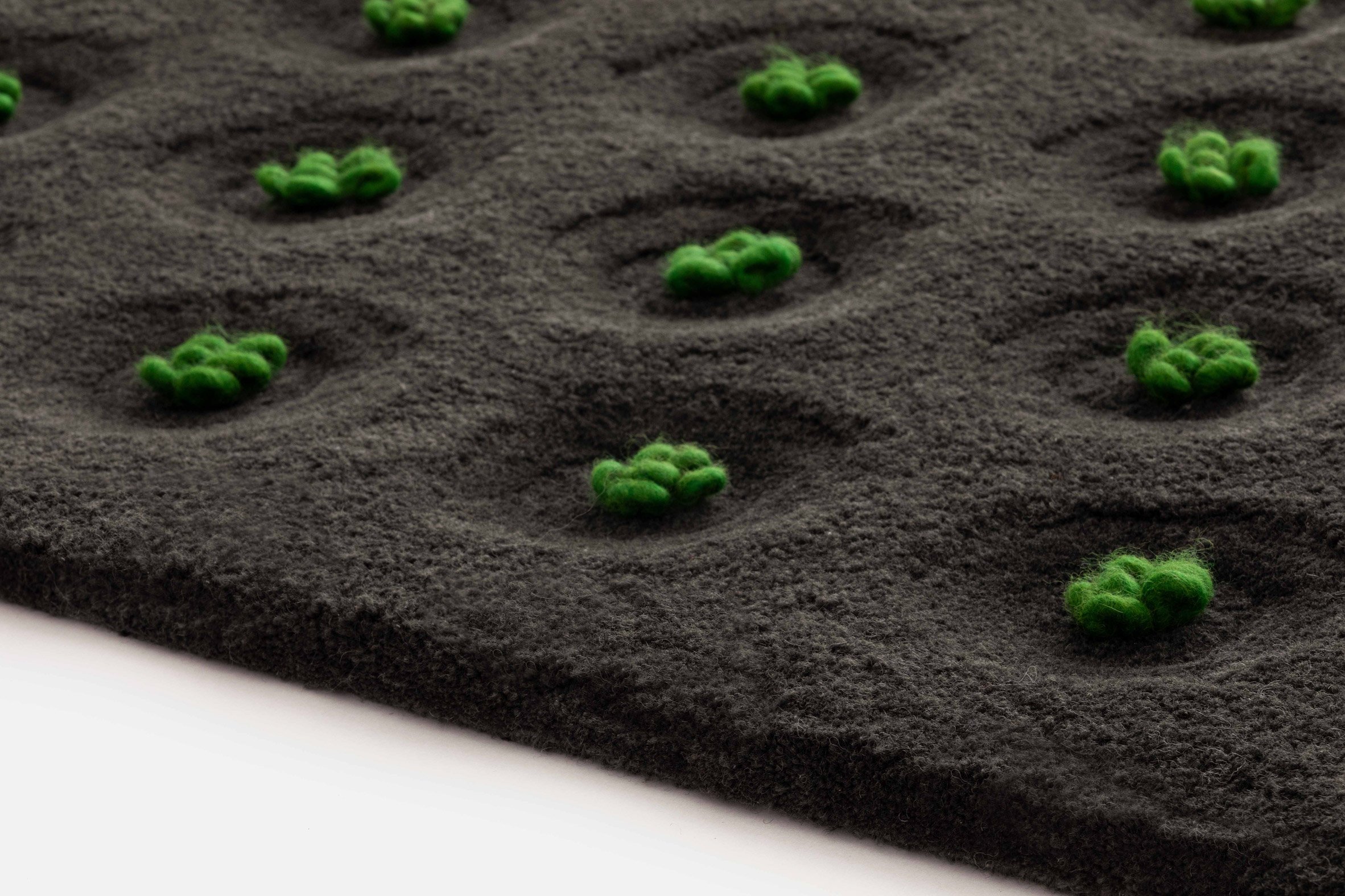 Rug with hand-tufted green plants set on top of a black backdrop