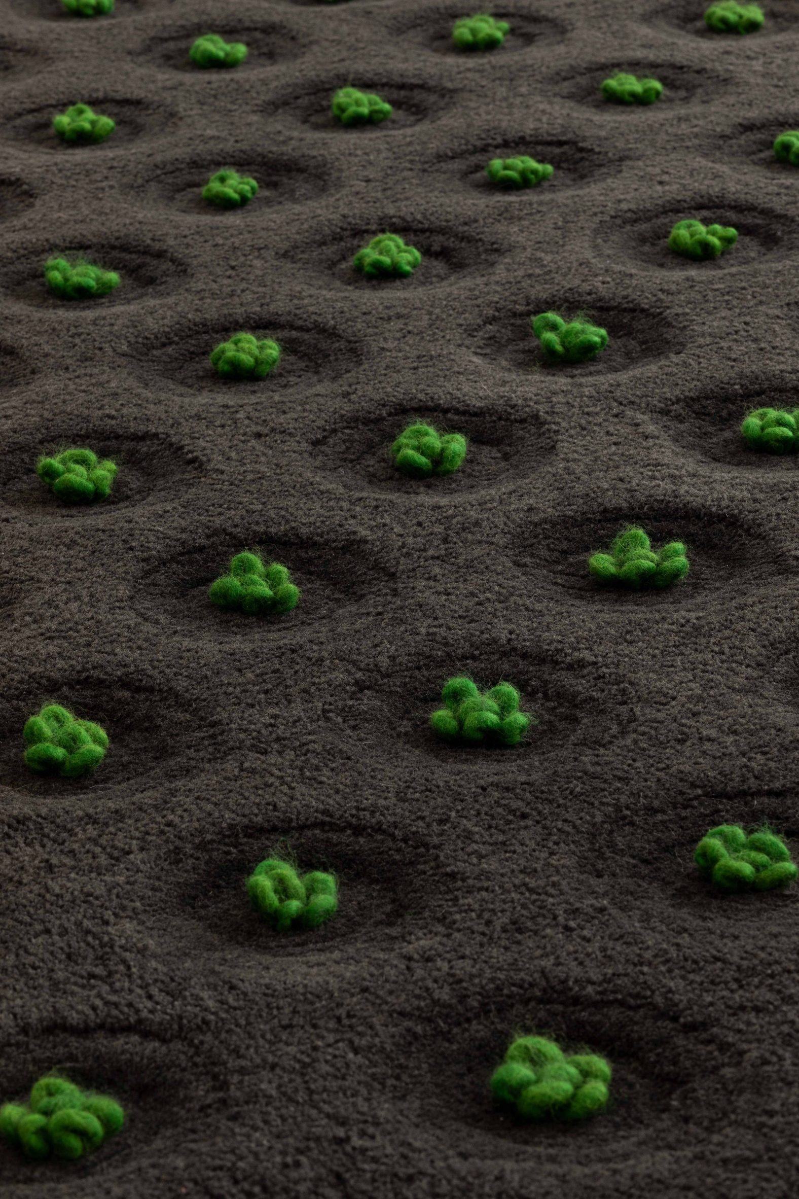 Rug with hand-tufted green plants set on top of a black backdrop