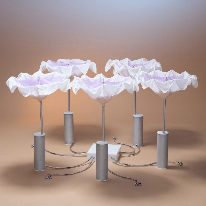 A photograph of an installation depicting five white flowers, held up by silver structures.