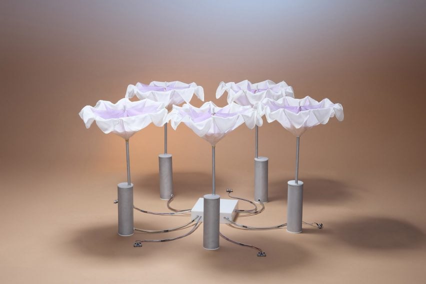 A photograph of an installation depicting five white flowers, held up by silver structures.