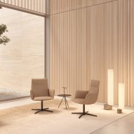 Noha chair by Ludovica Serafini and Roberto Palomba for Viccarbe