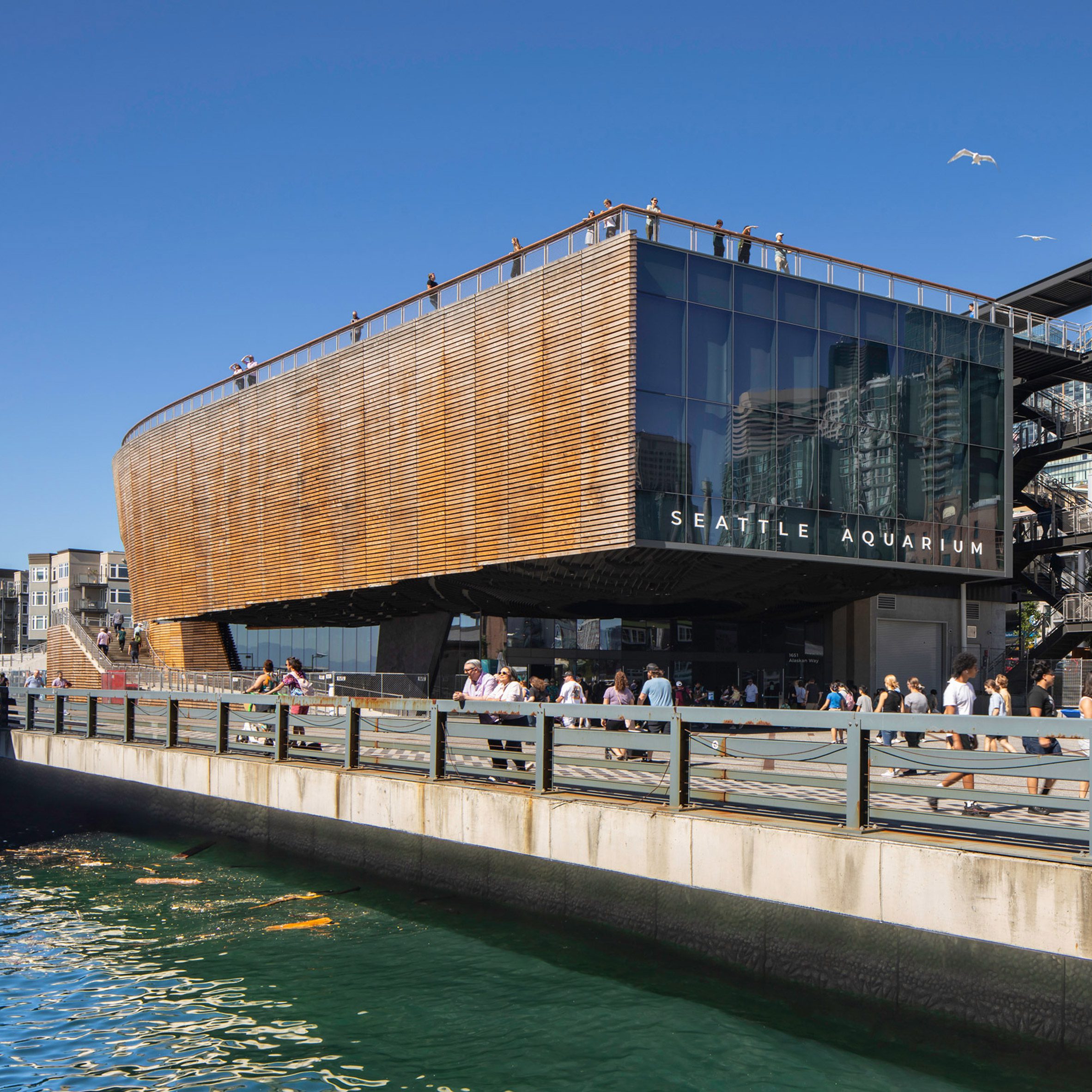 https://static.dezeen.com/uploads/2024/10/ocean-pavilion-seattle-lmn-architects_dezeen_2364_sq-1.jpg