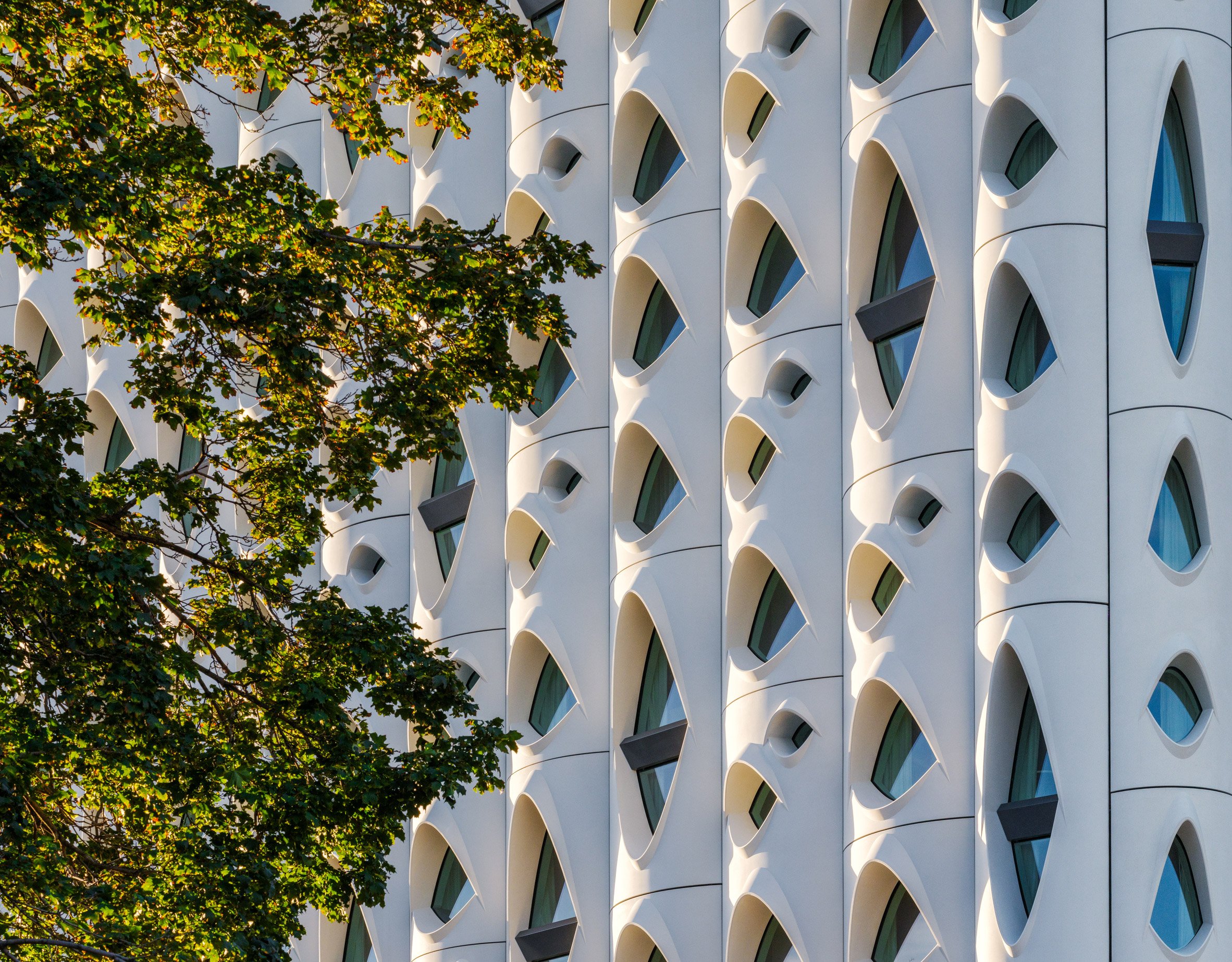 White building covered in windows