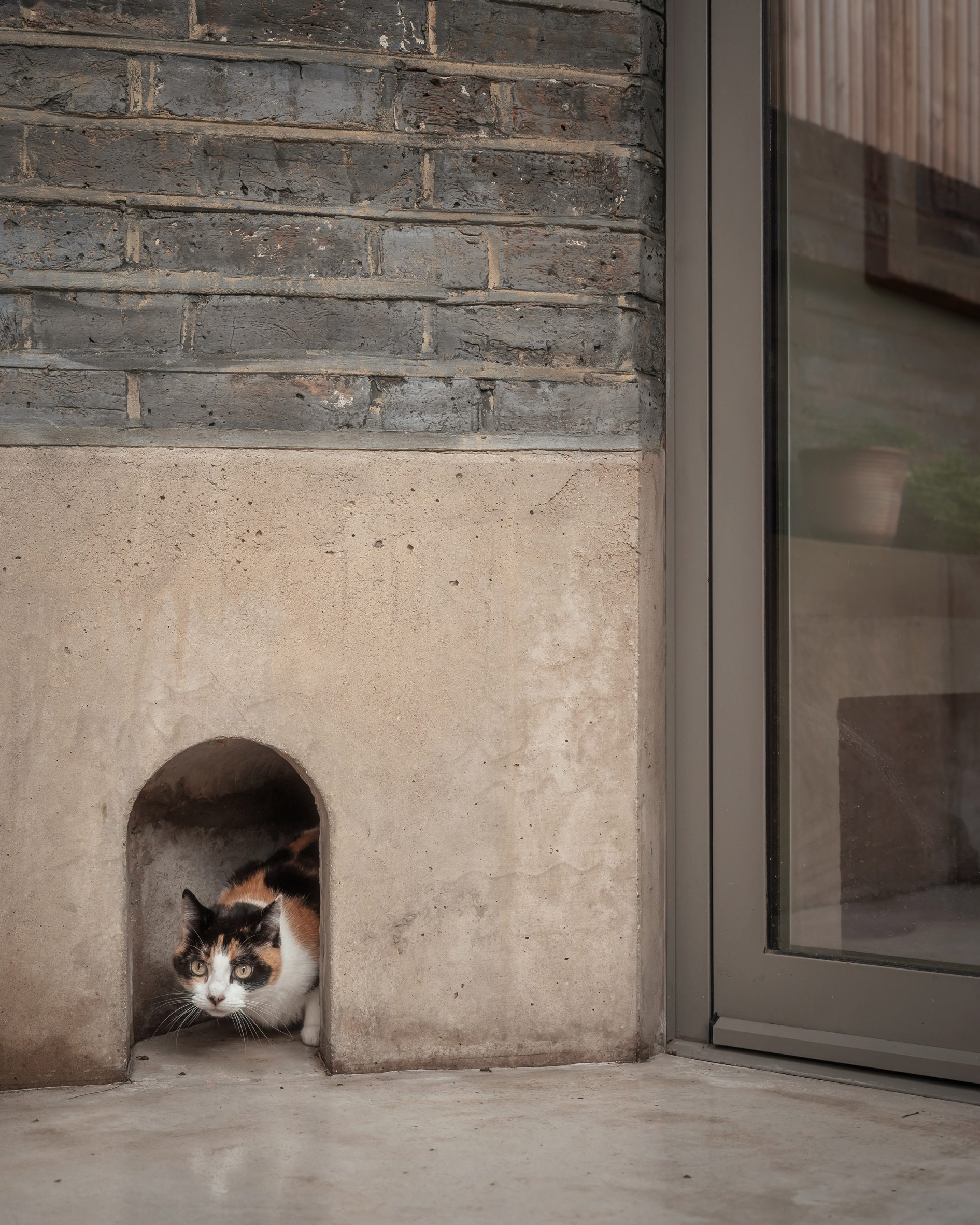 Cat flap at Stoke Newington house extension by VATRAA